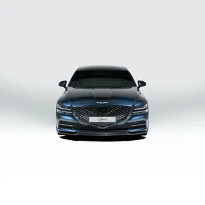 GENESIS G80 (RG3) CARBON FIBER FRONT LIP V1 photo 3