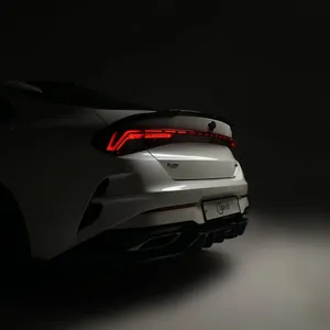 KIA K5 DL3 CARBON FIBER REAR DIFFUSER 第 3 张