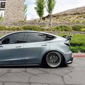 TESLA MODEL Y AT-S SWAN NECK WING photo 5