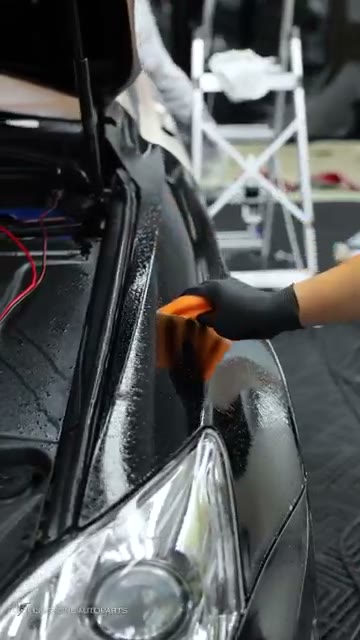LEXUS IS250 x DRESDENPROTECTION