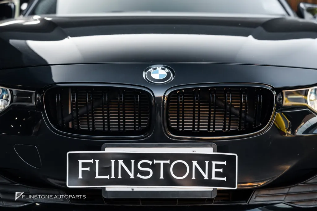 BMW Grille