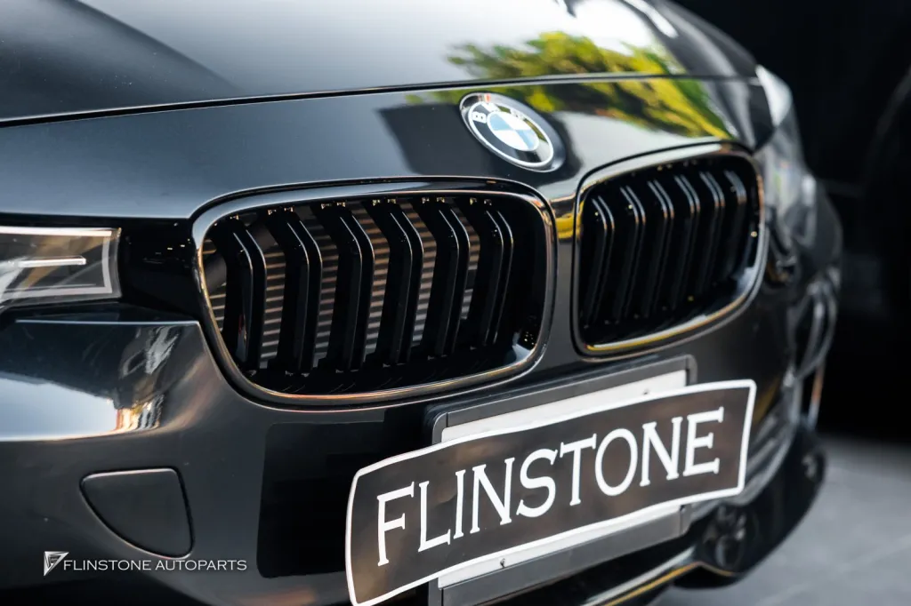 BMW Grille