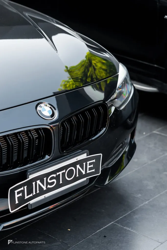 BMW Grille